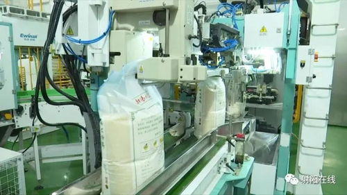 射陽大米首獲省政府農(nóng)業(yè)技術(shù)推廣獎，技術(shù)創(chuàng)新引領(lǐng)產(chǎn)業(yè)升級